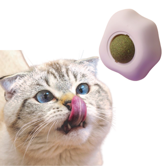 Cat Nip Ball With Wall Mount